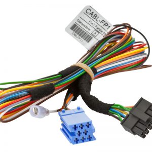 Dension Vehicle Specific Cables - CABL-FP1